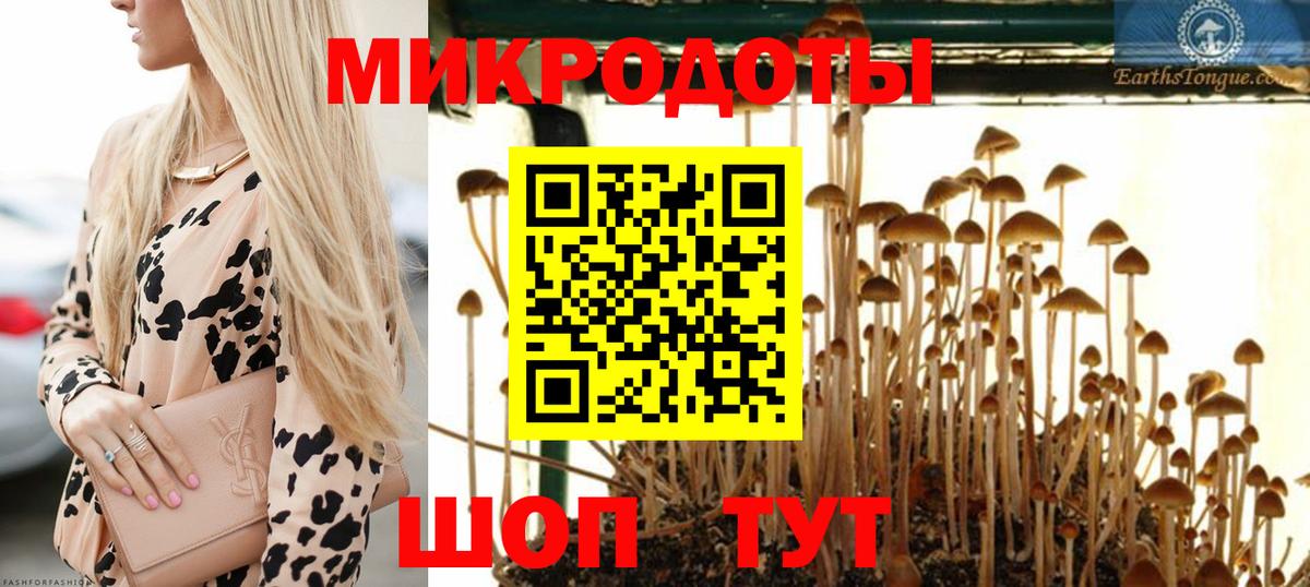 Ленинск-Кузнецкий  хочу   Вход с VPN  Псилоцибиновые грибы GOLDEN TEACHER 